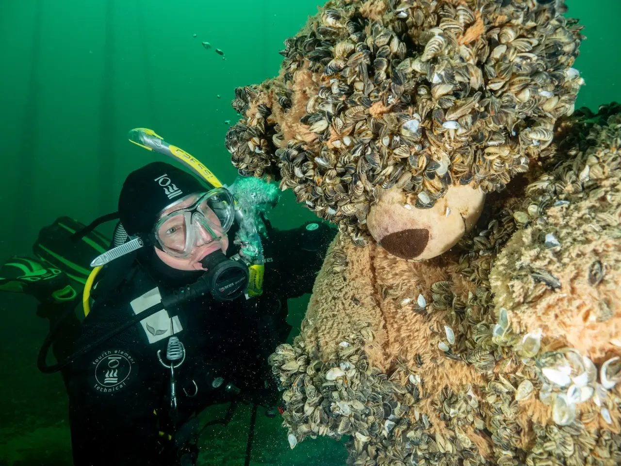 Taucherin im Bodensee mit einem Bären und Quaggamuscheln