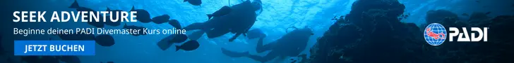 Divemaster Anmeldung PADI